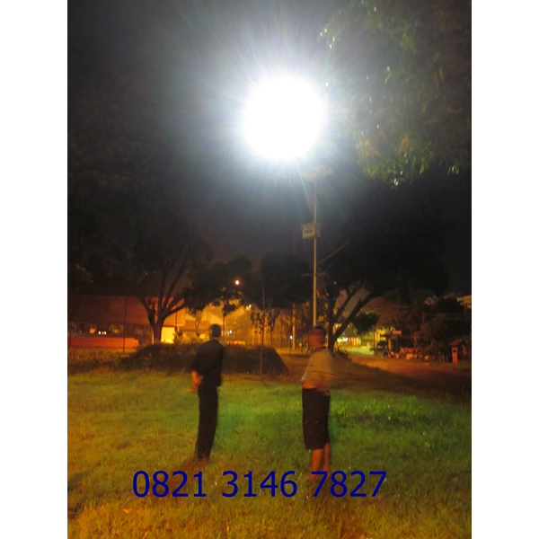 Lampu Jalan Tenaga Surya 30watt 